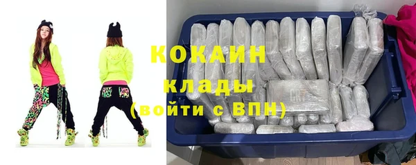 spice Алексин