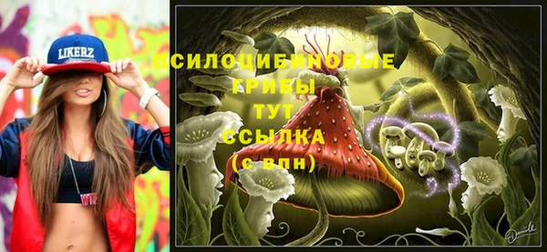 гидропоника Алзамай