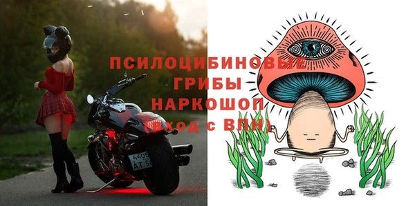 spice Алексин
