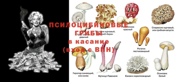 гидропоника Алзамай
